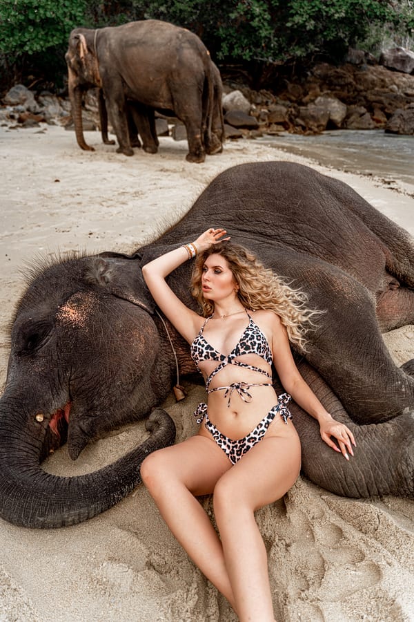 Боря и Ангелина лавстори фотосессия со слоном на Пхукете