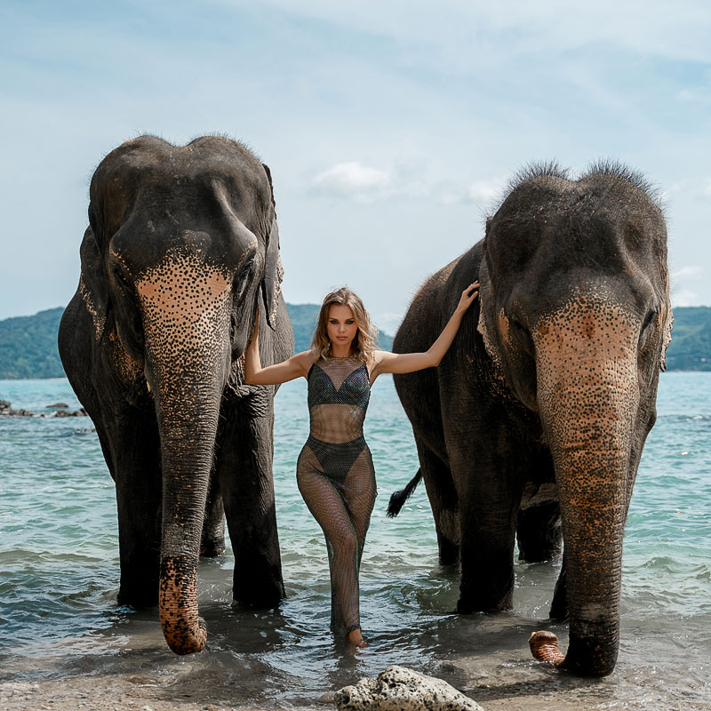 Фотосессия со слоном в Таиланде на Пхукете